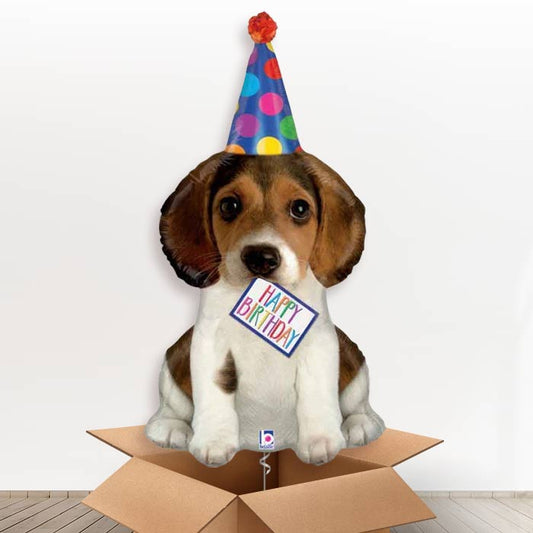 Dog Shaped Helium Balloon in a Box (Party Hat) - 1 x Giant Balloon | Party Save Smile