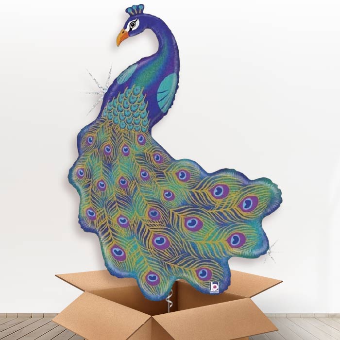 Giant Peacock Helium Balloon in a Box - Giant Balloon | Party Save Smile