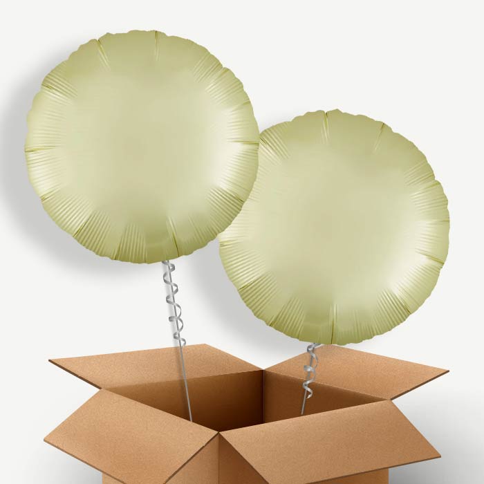 Pastel Yellow Satin Circle Helium Balloon Couple | Party Save Smile
