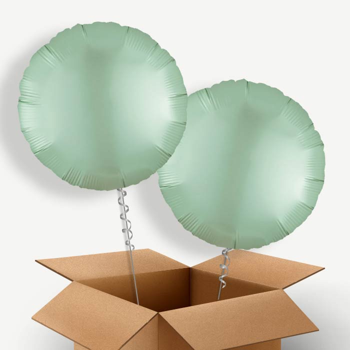 Mint Green Satin Circle Helium Balloon Pair | Party Save Smile