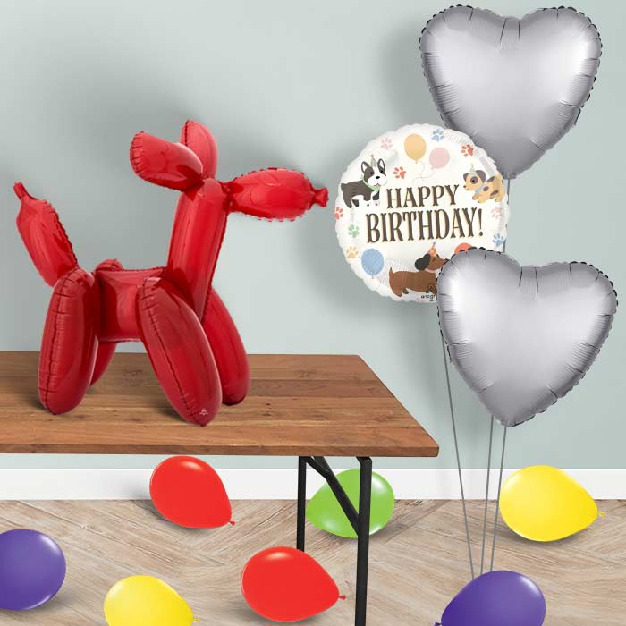 Red Dog Sitter Balloon Package Delivered - Sitter Package | Party Save Smile