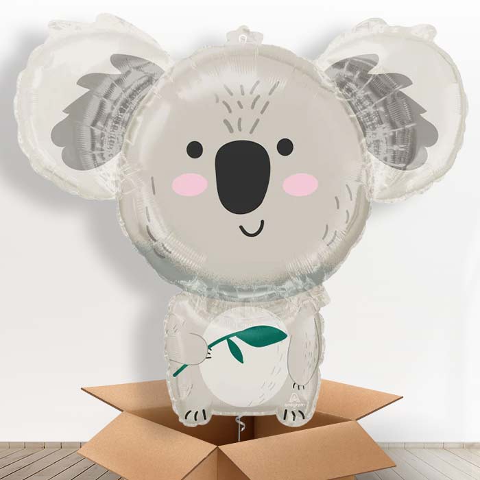Koala Giant Helium Balloon in a Box Gift - Giant Balloon | Party Save Smile