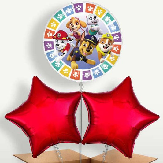 Colourful Paw Patrol Bunch of Balloons inflated with Helium | Party Save Smile