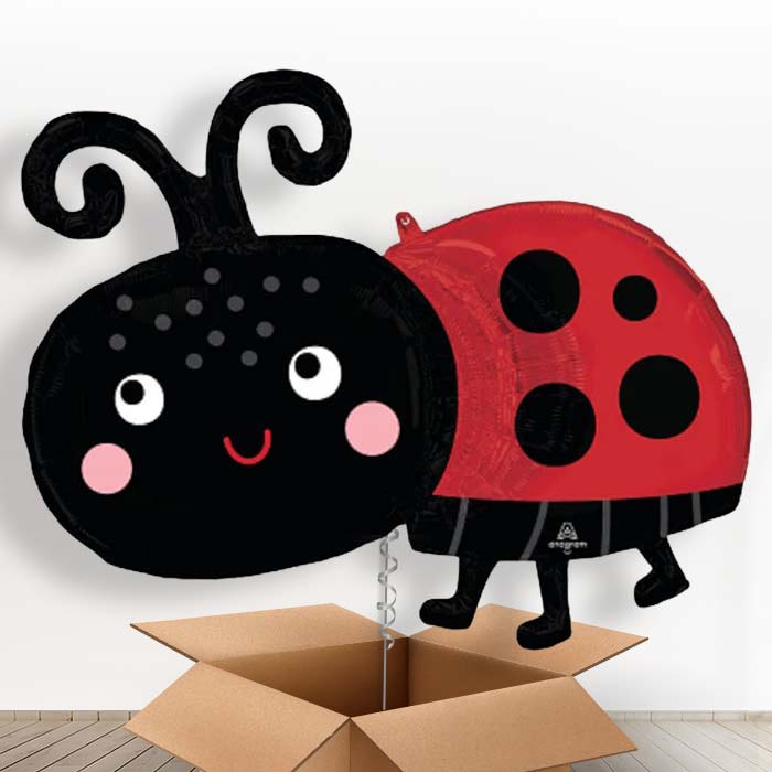 Happy Ladybug Helium Balloon in a Box - 1 x Giant Balloon | Party Save Smile