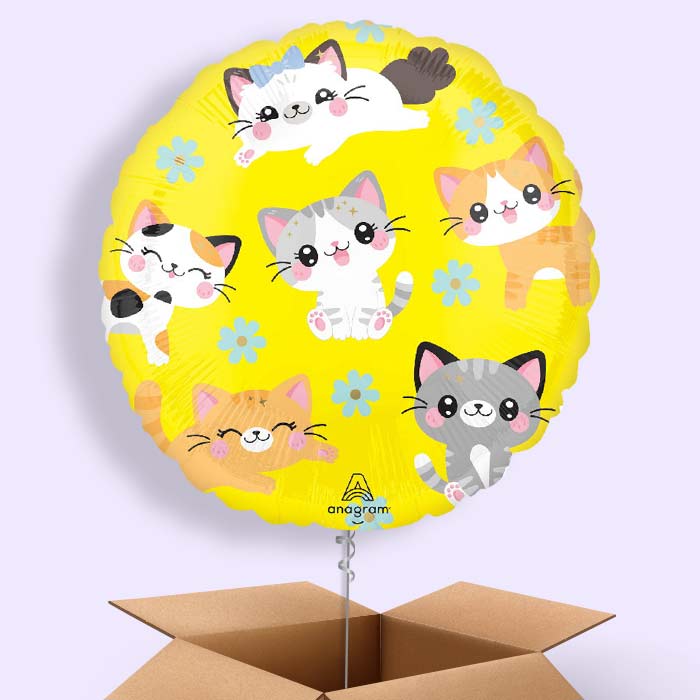 Kawaii Kitten Helium Balloon in a Box