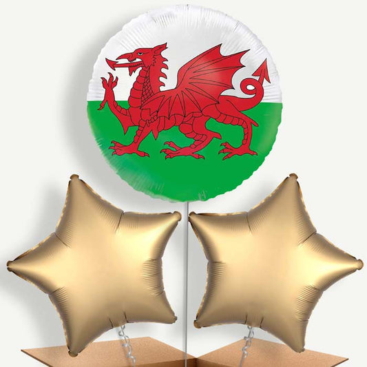 Wales Flag Bunch of Balloons (Trio) | Party Save Smile