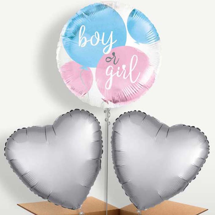 Boy or Girl Gender Reveal Bunch of Balloons | Party Save Smile