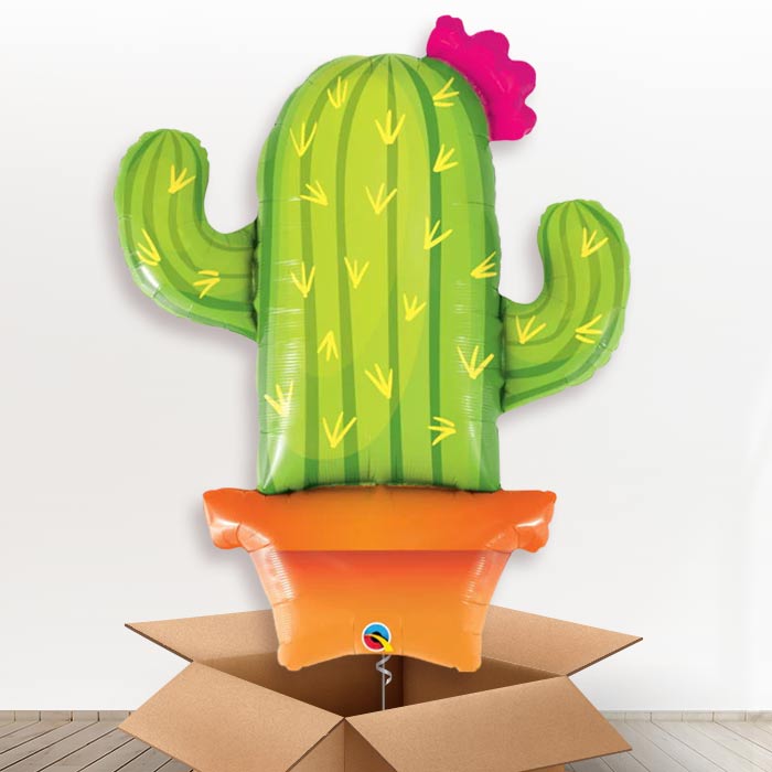 Cactus Potted Giant Helium Balloon in a Box Gift - Giant Balloon | Party Save Smile