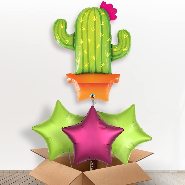 Cactus Potted Giant Helium Balloon in a Box Gift - With 3 Plain Balloons | Party Save Smile