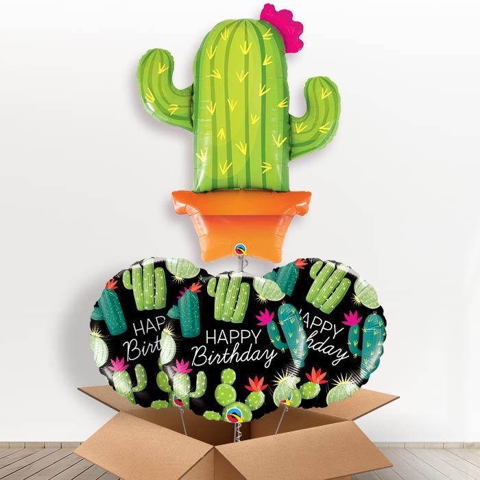 Cactus Potted Giant Helium Balloon in a Box Gift - With 3 Themed Balloons | Party Save Smile