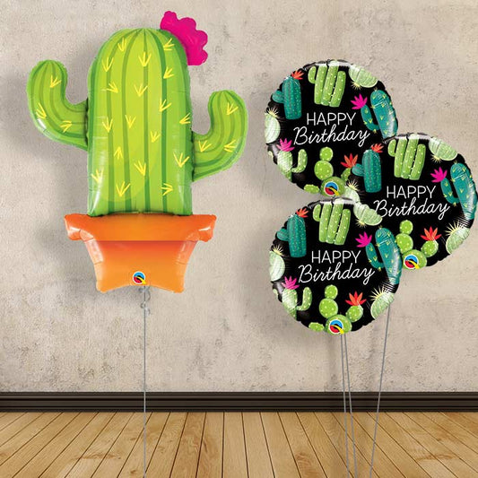 Cactus Helium Balloon Bouquet in a Box - Themed Bouquet | Party Save Smile