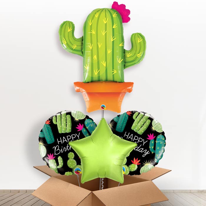 Cactus Potted Giant Helium Balloon in a Box Gift-1 x Giant Balloon and 2 Themed Balloons and 1 Plain Balloon 