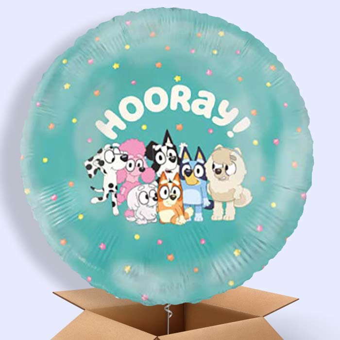 Bluey Helium Balloons Delivered - 1 Balloon | Party Save Smile
