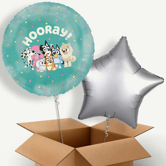 Bluey Helium Balloon Two | Party Save Smile