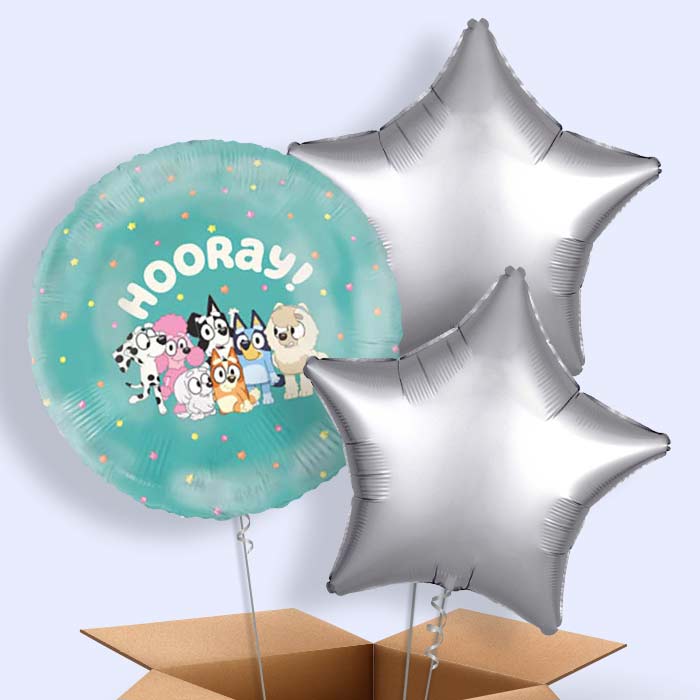 Bluey Helium Balloons Delivered - 3 Balloons | Party Save Smile