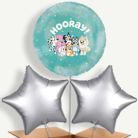 Bluey Bunch of Balloons (Trio) | Party Save Smile