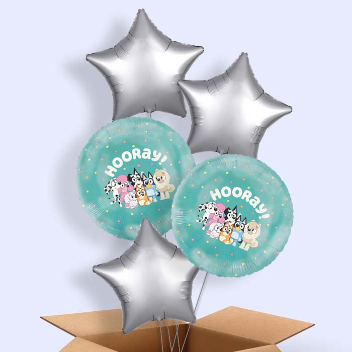 Bluey Helium Balloons Delivered - 5 Balloons | Party Save Smile