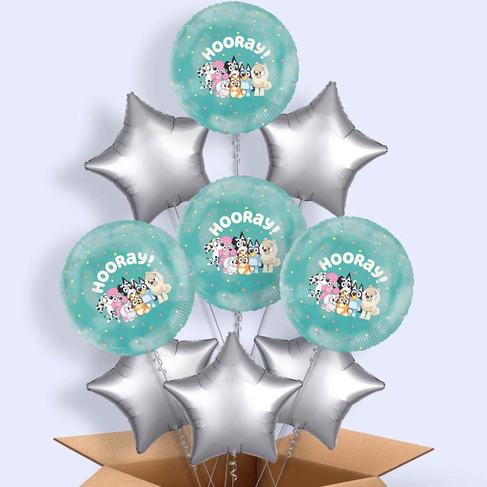 Bluey Helium Balloons Delivered - 9 Balloons | Party Save Smile