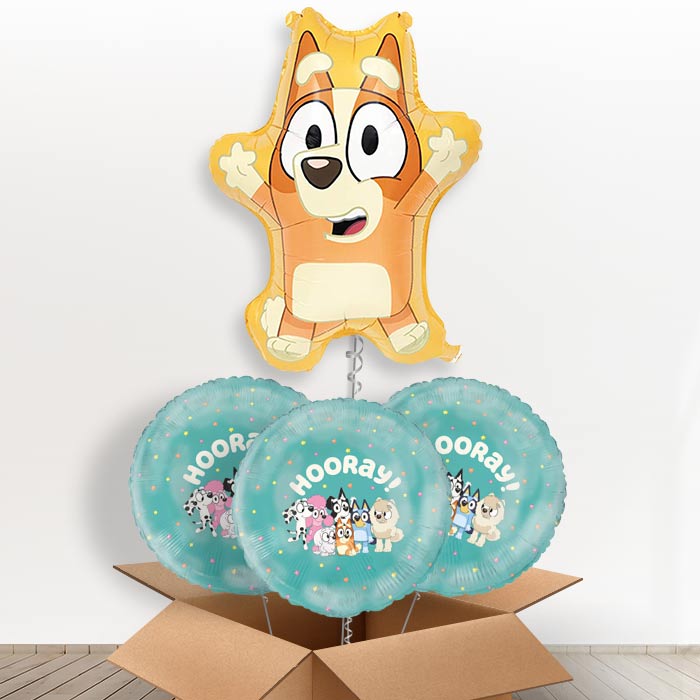 Bingo Giant Helium Balloon in a Box | Giant Balloon + 3 Themed Balloons | Party Save Smile