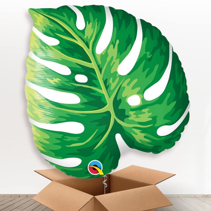 Giant Tropical Leaf Helium Balloons in a Box - Giant Balloon | Party Save Smile