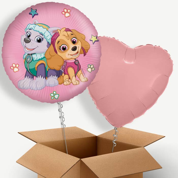 Paw Patrol Everest and Skye Helium Balloon Couple | Party Save Smile
