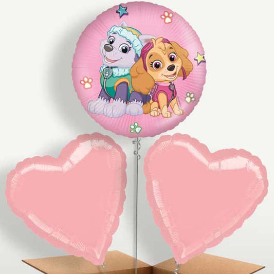 Paw Patrol Everest & Skye Balloon Bunch | Party Save Smile