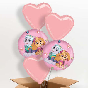 Paw Patrol Everest and Skye Helium Balloon in a Box