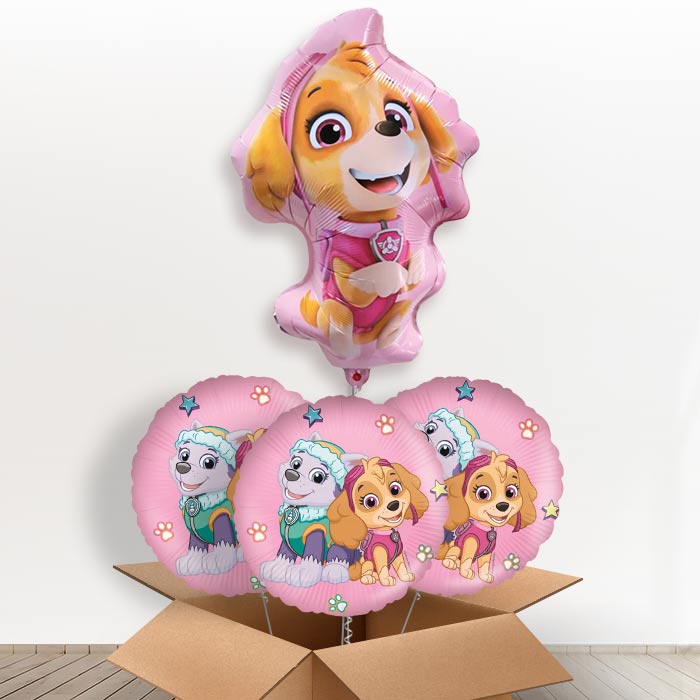 Giant Skye Shaped Helium Balloon in a Box - With 3 Themed Balloons | Party Save Smile