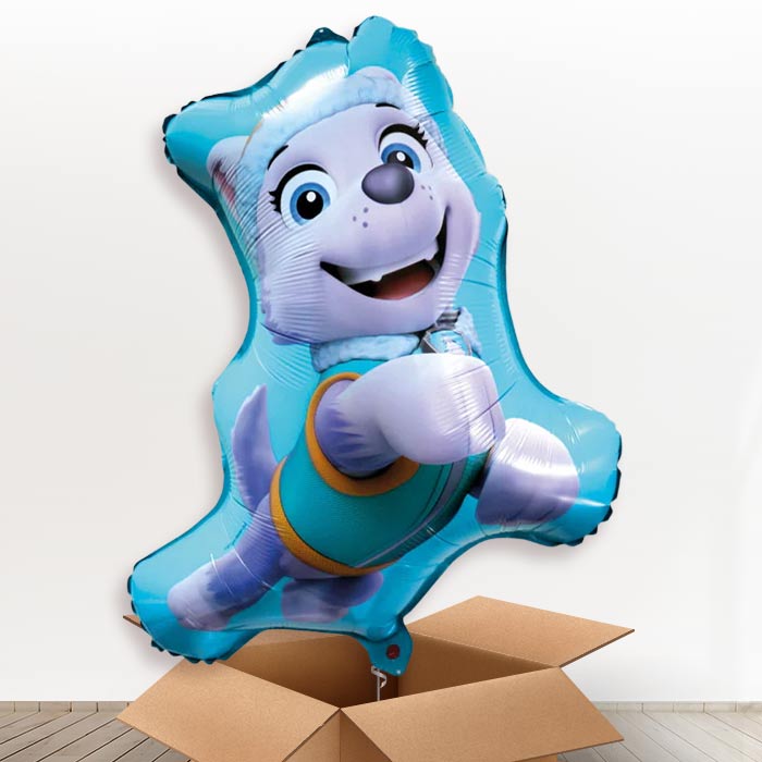 Giant Everest Paw Patrol Helium Balloon in a Box - Giant Balloon | Party Save Smile