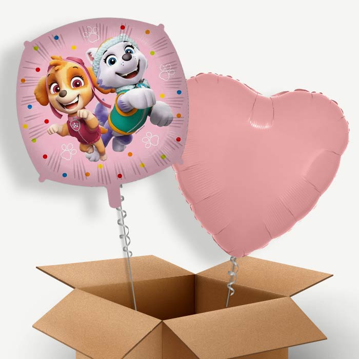 Paw Patrol Skye and Everest Helium Balloon Couple | Party Save Smile
