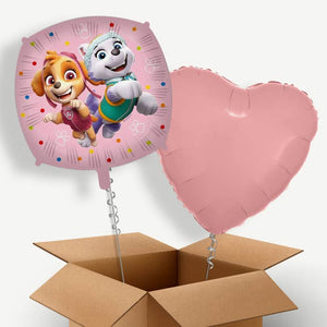 Paw Patrol Skye and Everest Helium Balloon Couple