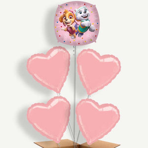 Paw Patrol Skye & Everest 5 Helium Cluster Balloons