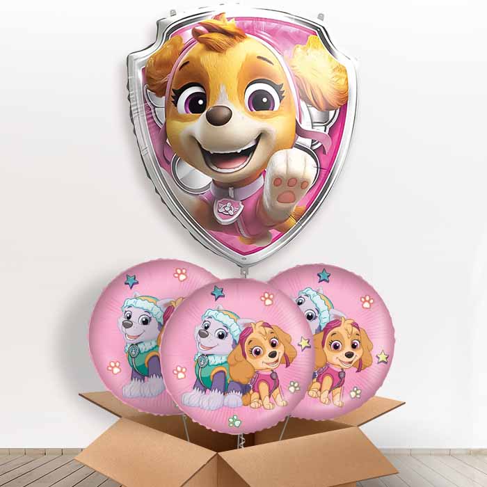 Skye Paw Patrol Giant Helium Balloon in a Box | Giant Balloon + 3 Themed Balloons | Party Save Smile