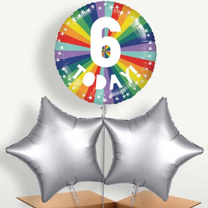 Age 6 6th Birthday Rainbow Bunch of Balloons | Party Save Smile