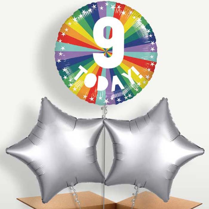 Age 9 9th Birthday Rainbow Bunch of Balloons | Party Save Smile
