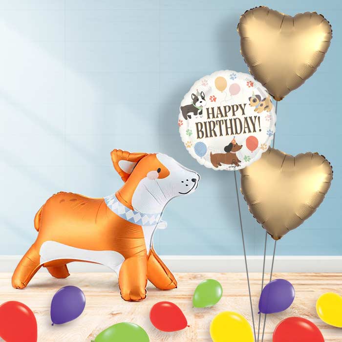 Inflated Corgi Balloon in a Box-Package | Party Save Smile