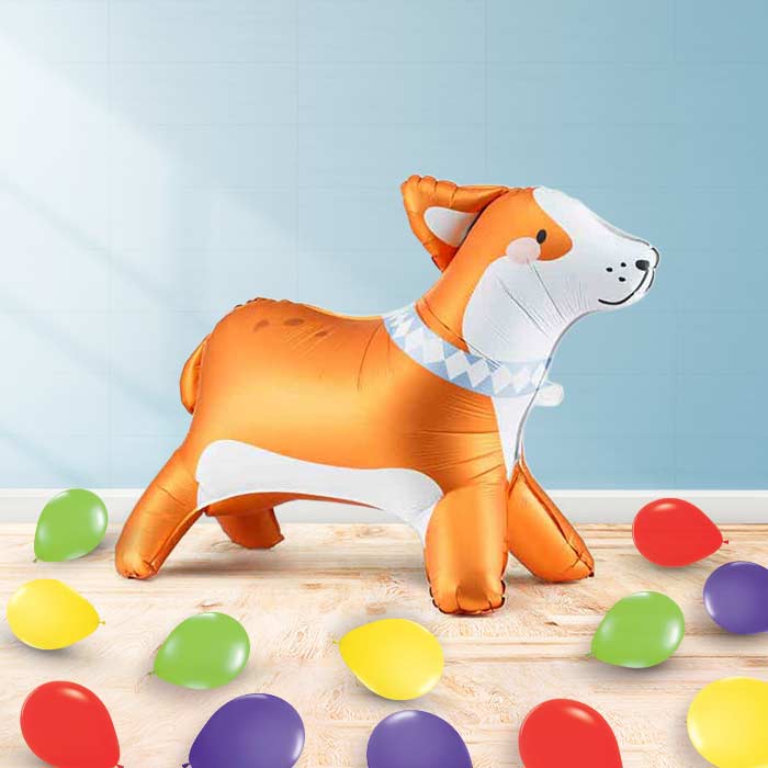 Inflated Corgi Balloon in a Box-Air Filled Balloon and Latex | Party Save Smile