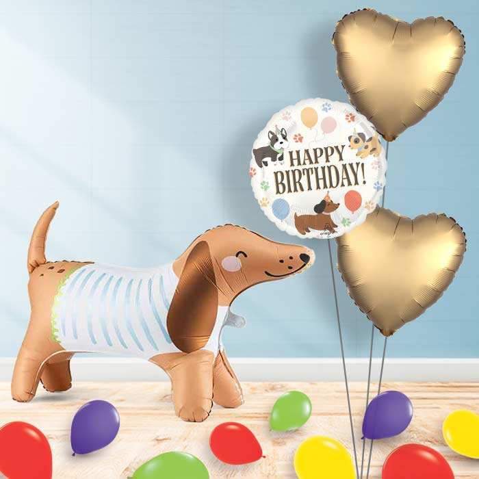 Inflated Dachshund Balloon in a Box-Package | Party Save Smile