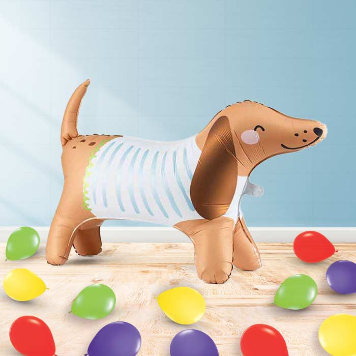 Inflated Dachshund Balloon in a Box-Air Filled Balloon and Latex | Party Save Smile