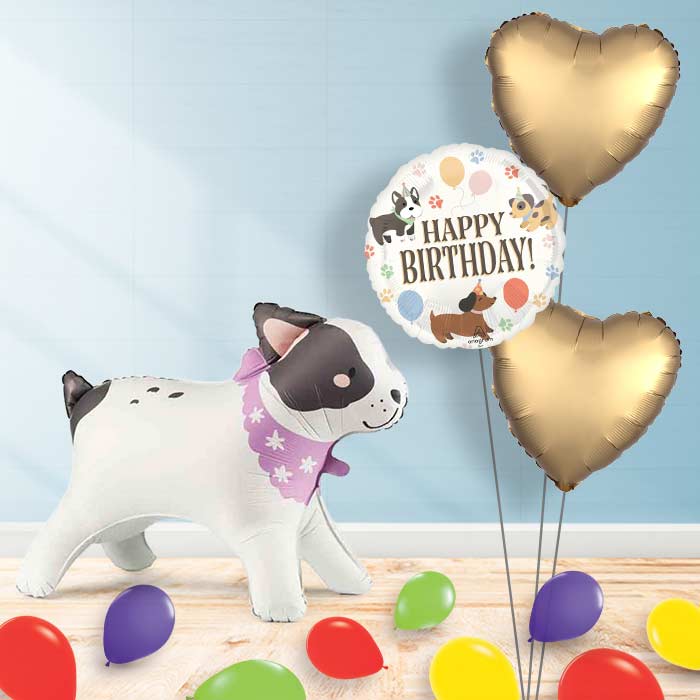 Inflated Bulldog Balloon in a Box-Package | Party Save Smile