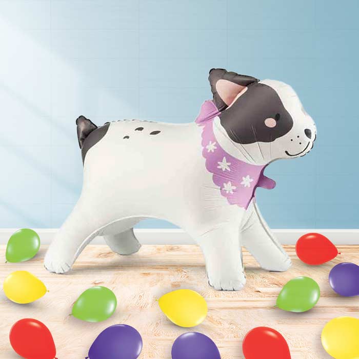Inflated Bulldog Balloon in a Box-Air Filled Balloon and Latex | Party Save Smile