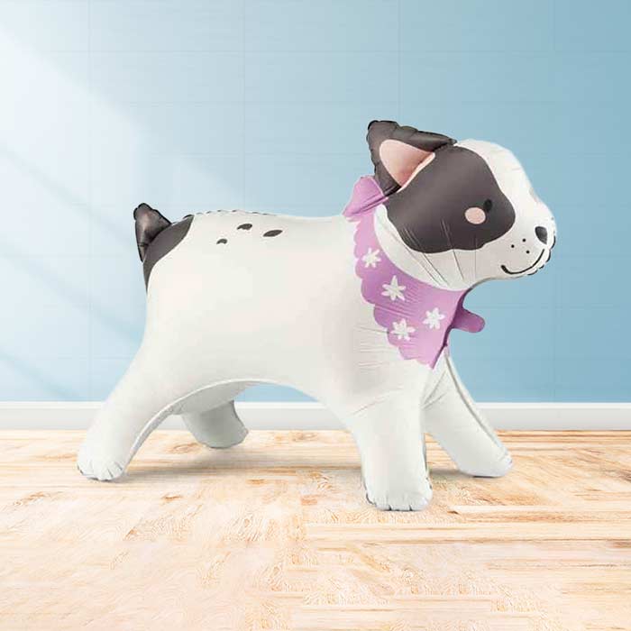 Inflated Bulldog Balloon in a Box-Air Filled Balloon | Party Save Smile