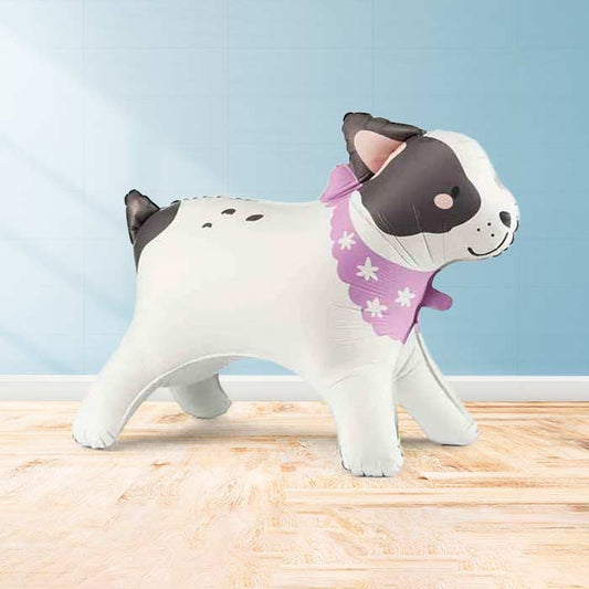 Inflated Bulldog Balloon in a Box-Air Filled Balloon | Party Save Smile