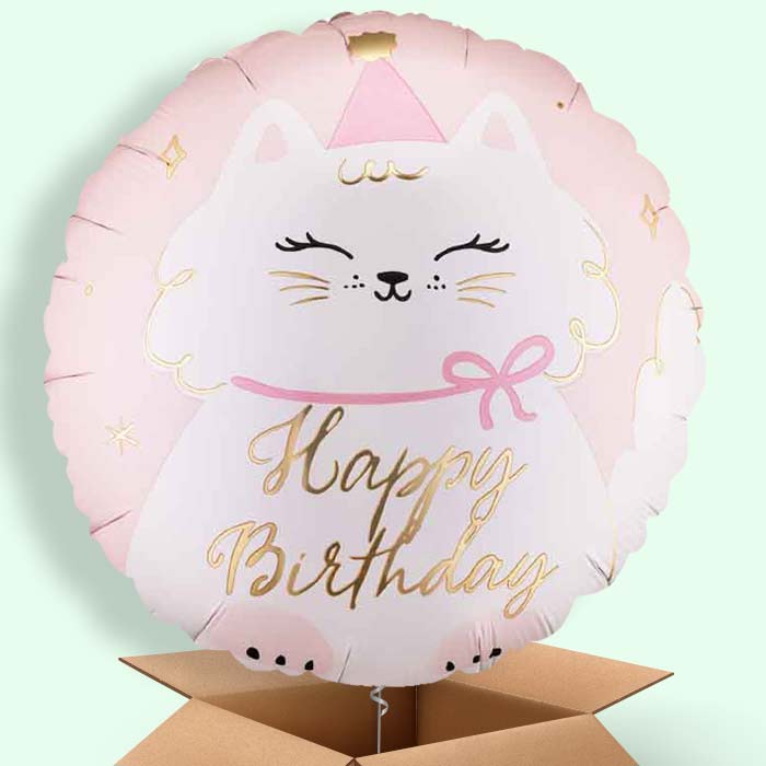 Kitty Happy Birthday Helium Balloon in a Box - 1 Balloon | Party Save Smile