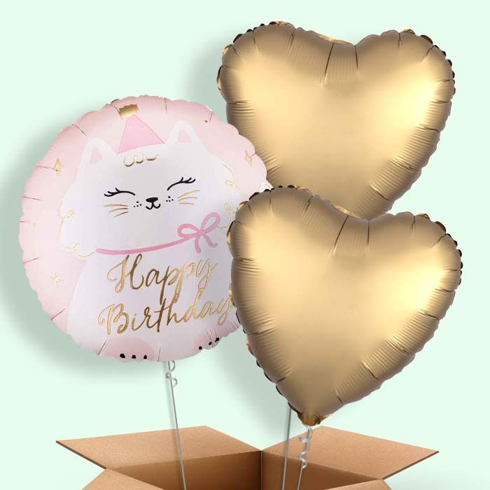 Kitty Happy Birthday Helium Balloon in a Box - 3 Balloons | Party Save Smile