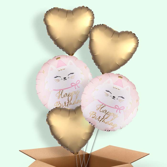 Kitty Happy Birthday Helium Balloon in a Box - 5 Balloons | Party Save Smile