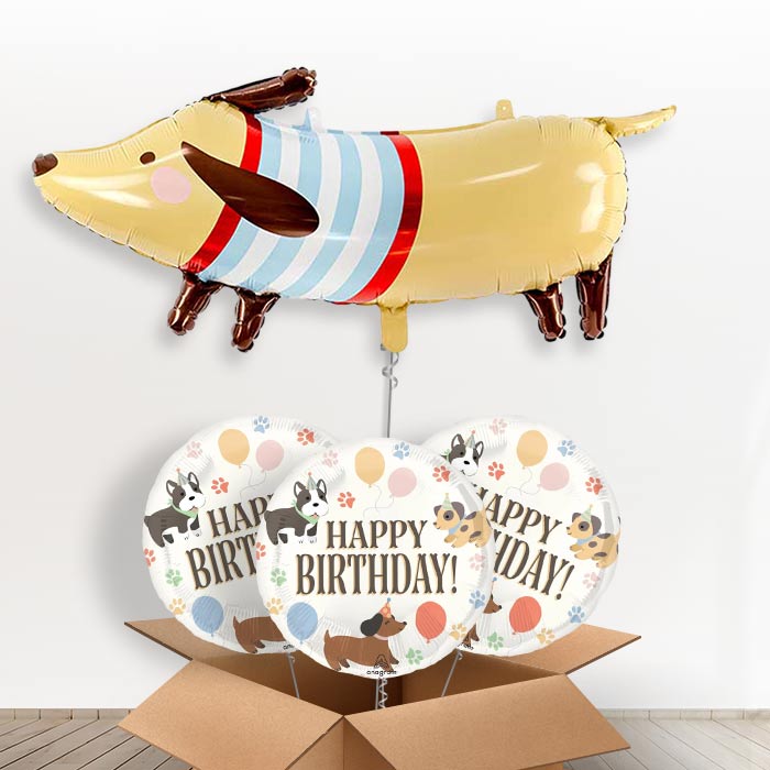Dachshund Giant Helium Balloon in a Box-Giant Balloon + 3 Themed Balloons | Party Save Smile