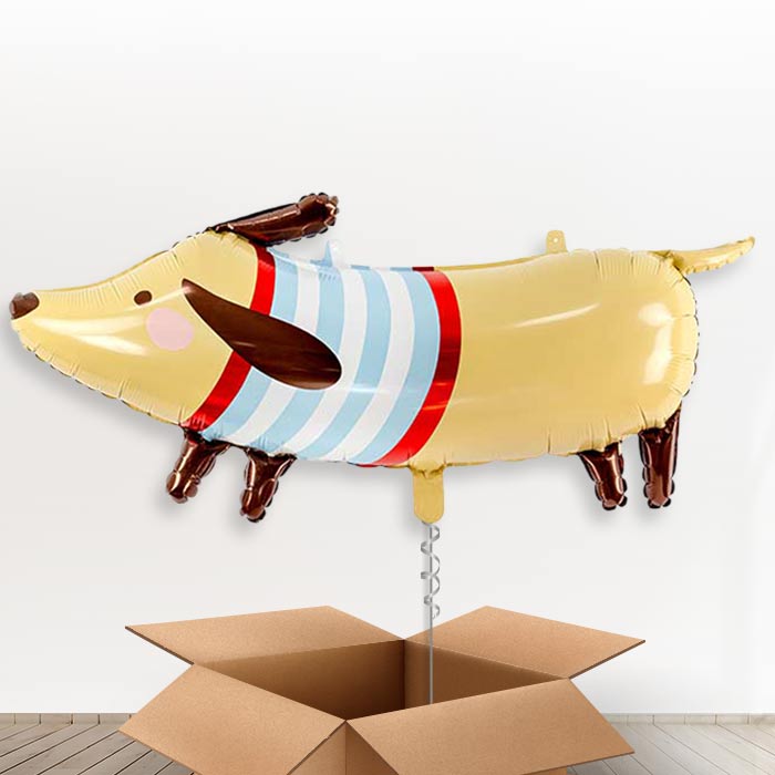 Dachshund Giant Helium Balloon in a Box-Giant Balloon | Party Save Smile