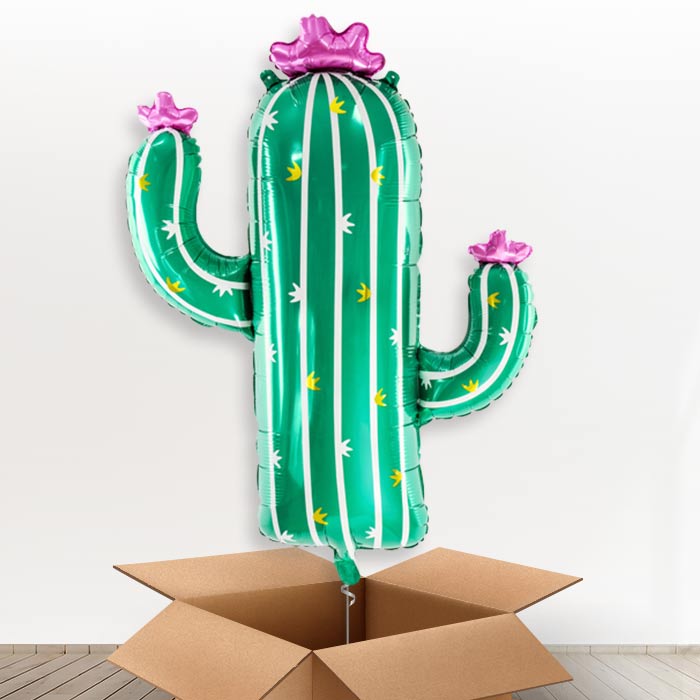 Giant Cactus Helium Balloon In a Box - Giant Balloon | Party Save Smile
