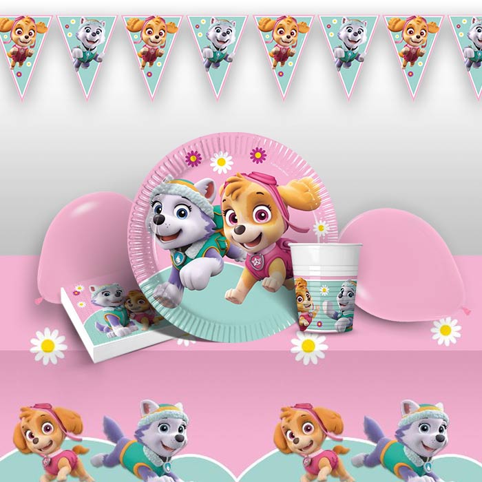 Skye & Everest Paw Patrol Party Pack & Decoration Kit | Party Save Smile